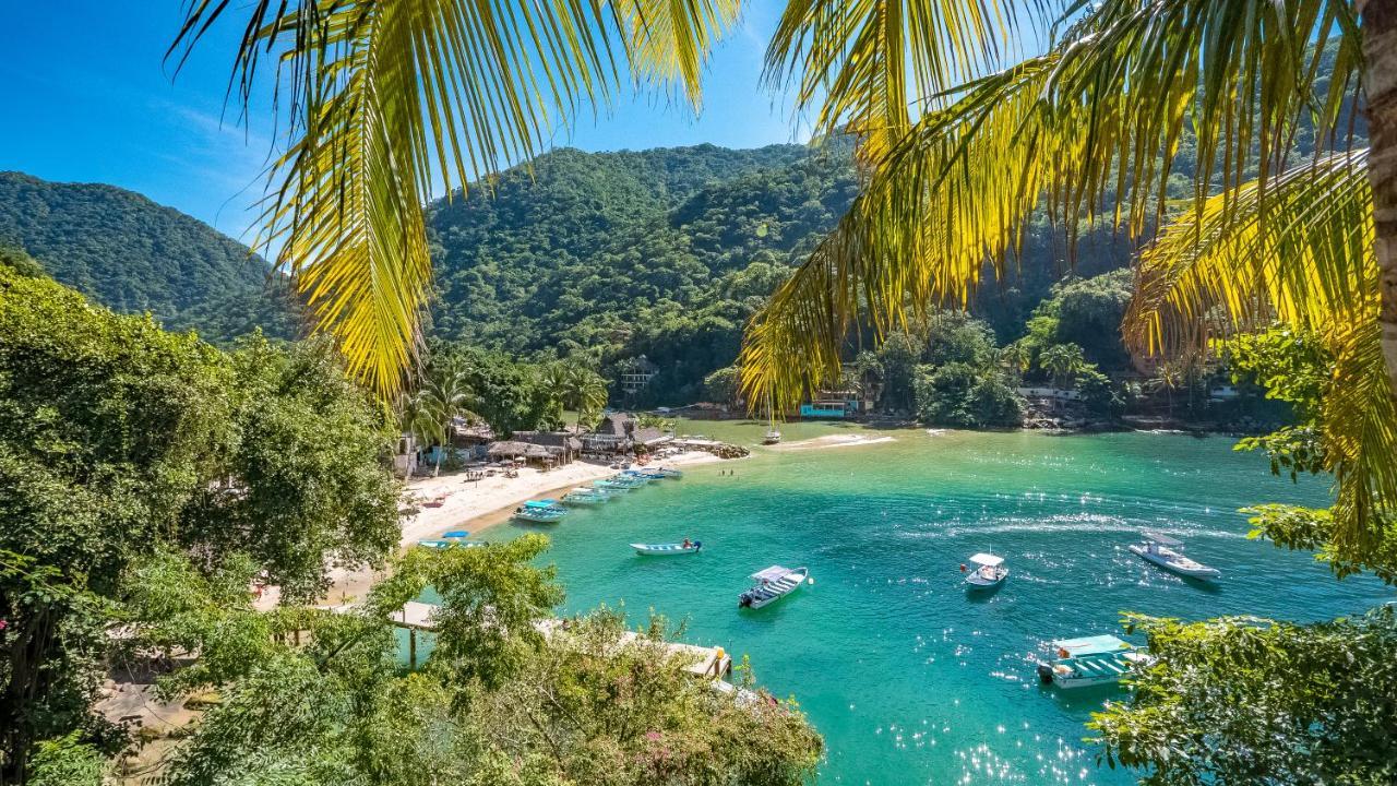Villa Armonia Luxury Boutique Hotel Puerto Vallarta Bagian luar foto
