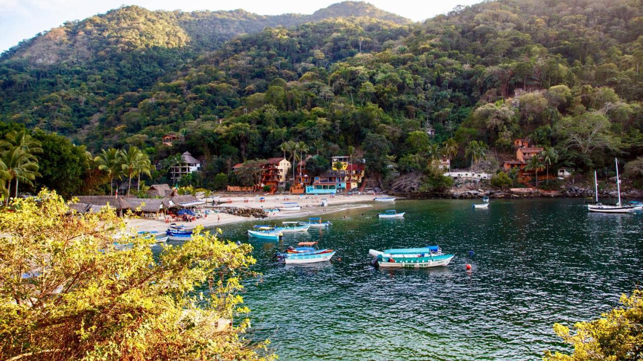 Villa Armonia Luxury Boutique Hotel Puerto Vallarta Bagian luar foto